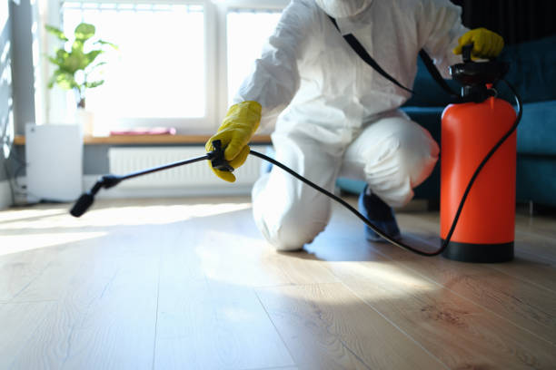 Reliable Byron, IL Pest Control Solutions