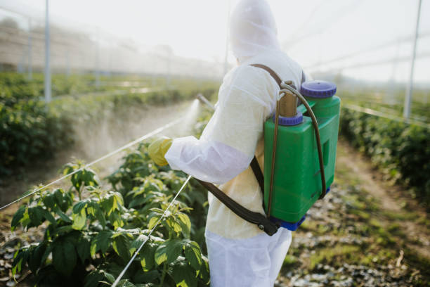 Best Local Pest Control Services  in Byron, IL